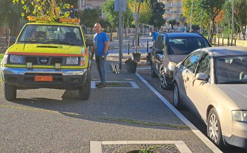 Βέροια: Νέα δένδρα στην Ανοίξεως στα κενά σημεία