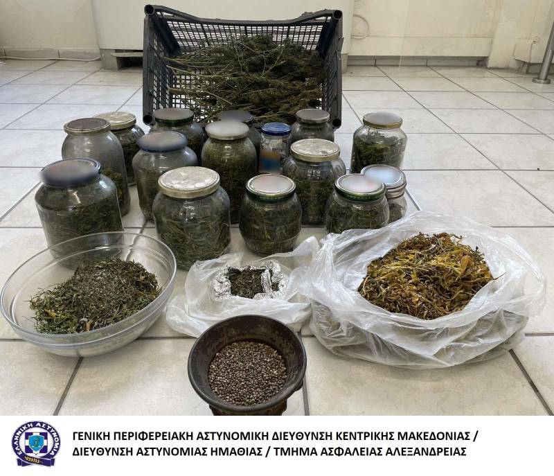 Σκύλος “ξετρύπωσε” σε αποθήκη ποσότητα κάνναβης