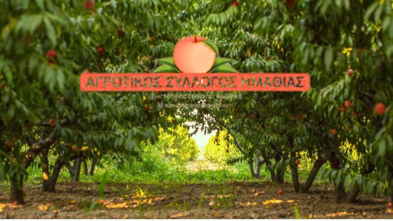 Γενική Συνέλευση στον Αγροτικό Σύλλογο Ημαθίας