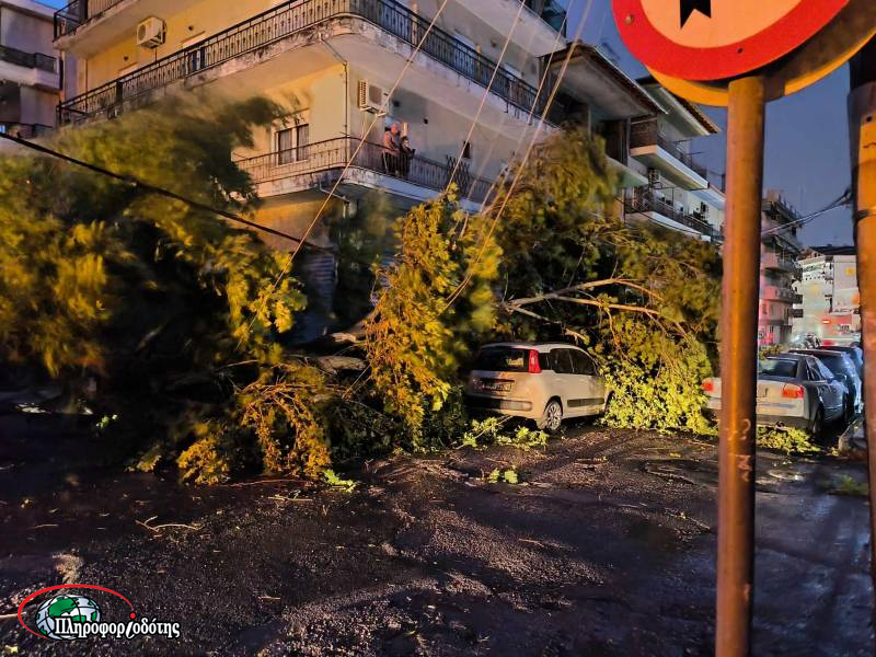 Ημαθία: 70 κλήσεις στην Πυροσβεστική για προβλήματα που προκλήθηκαν από ισχυρούς ανέμους