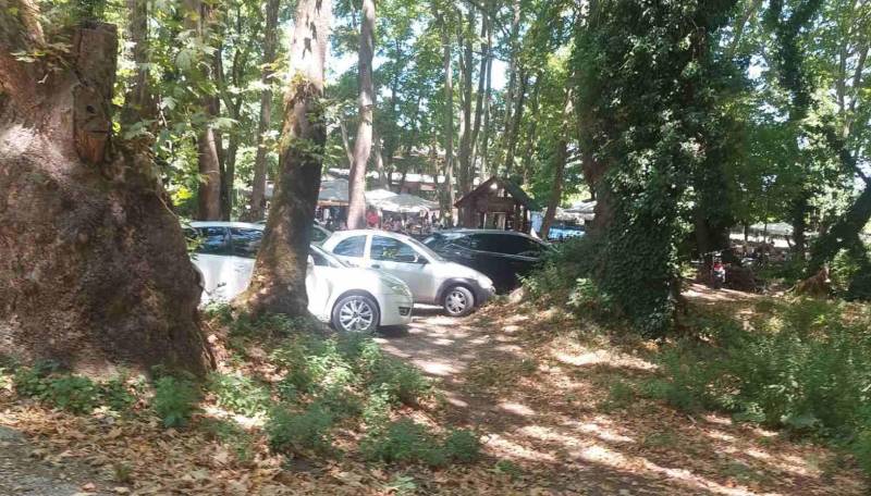 Απαγορεύεται η στάθμευση αυτοκινήτων εντός του Άλσους του Αγίου Νικολάου Νάουσας
