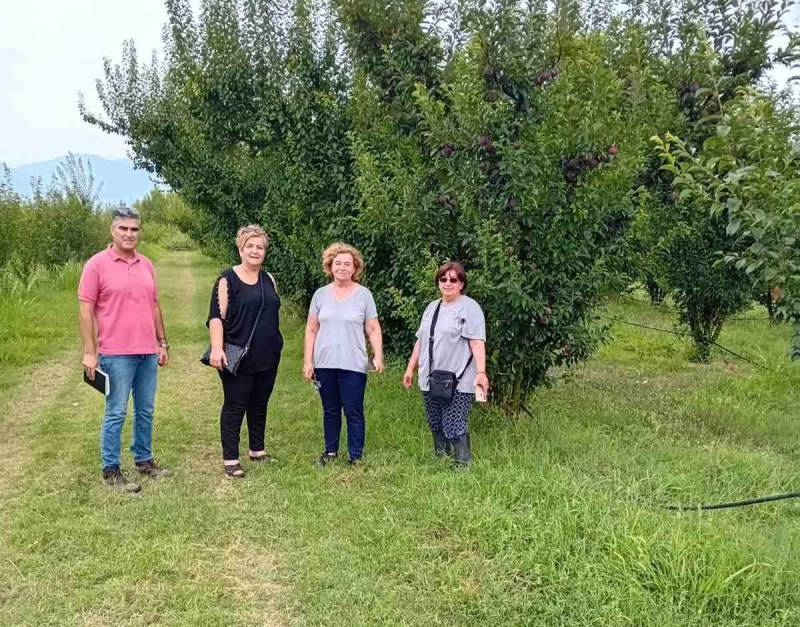 Επίσκεψη της αντιδημάρχου Άννας Βασιλειάδου σε κτήματα της Ειρηνούπολης για ζημιές από ανεμοθύελλα