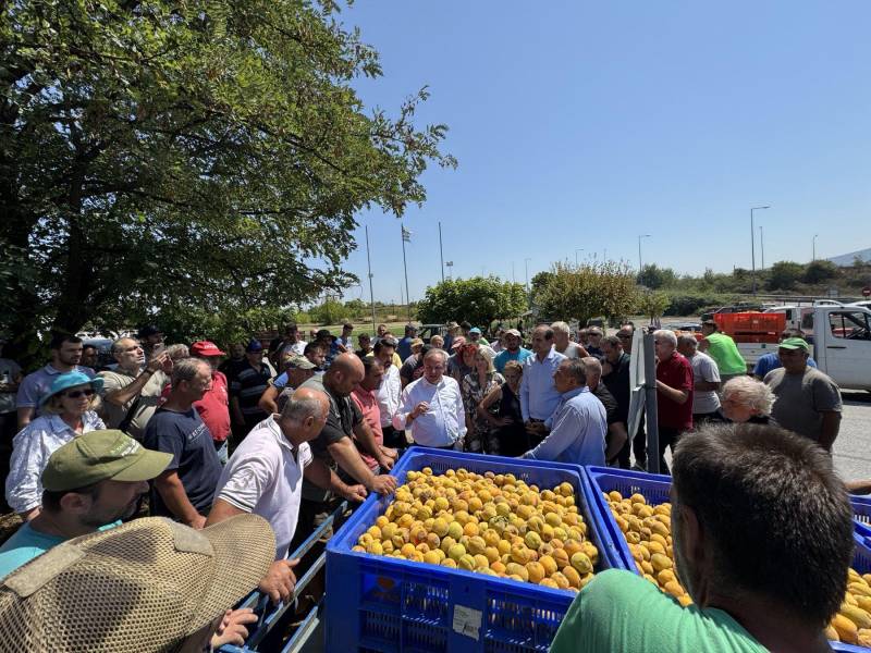 Στις πληγείσες από χαλαζόπτωση περιοχές της Ημαθίας ο ΥφΑΑΤ, Διονύσης Σταμενίτης