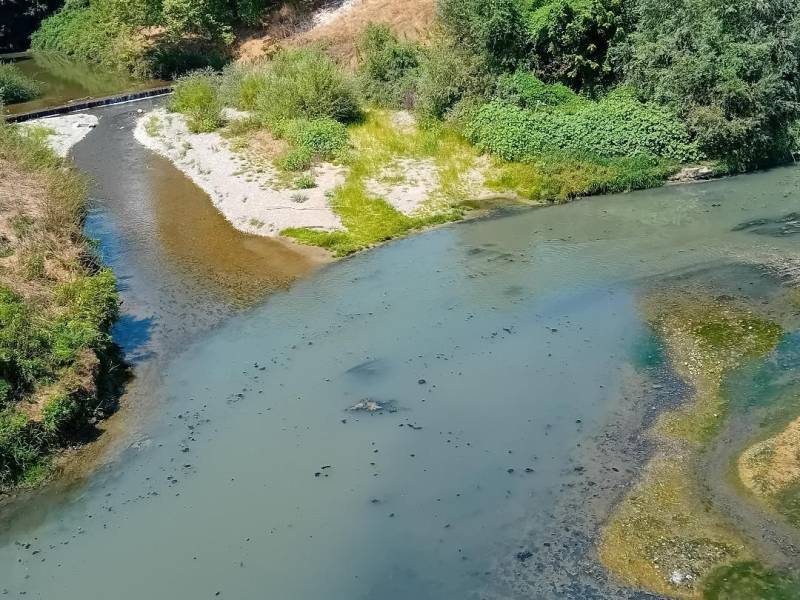 Περιοδεία στην Ημαθία και την Πέλλα θα κάνει ο Γιάννης Μυλόπουλος
