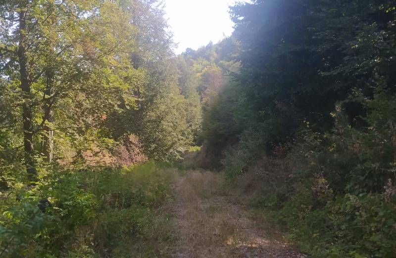 Πεζοπορία στα Πιέρια Όρη από τον Ορειβατικό Σύλλογο Ριζωμάτων “Ο Γραπατσάγκαλος”
