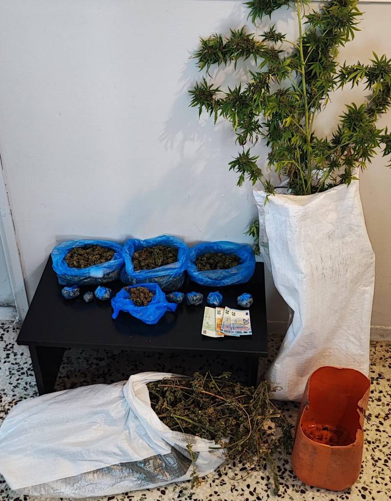 Σύλληψη δύο ανδρών σε Ημαθία και Πέλλα για ναρκωτικά – Κατασχέσεις ποσοτήτων κάνναβης