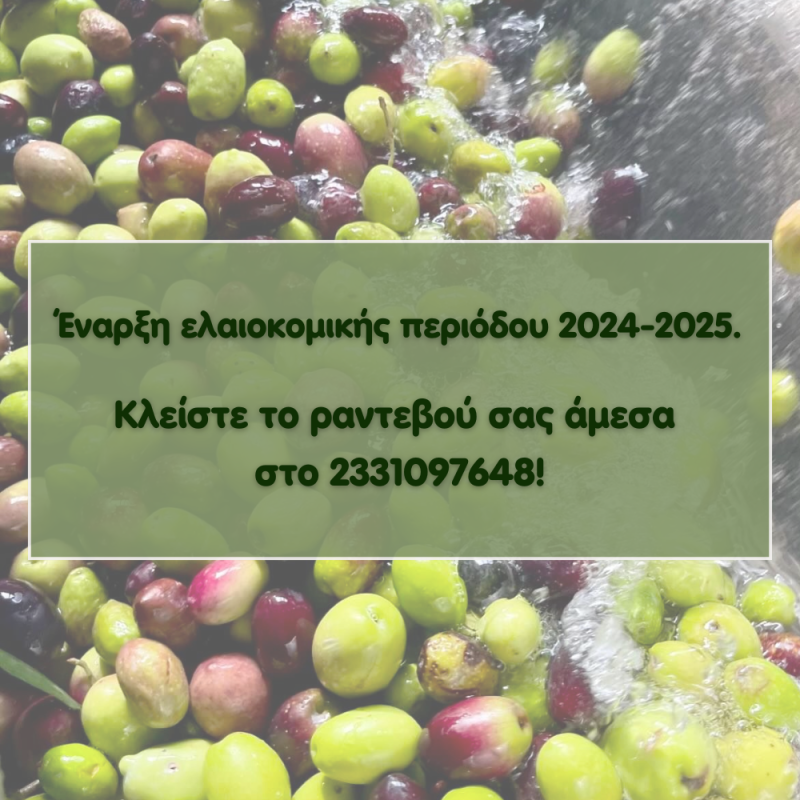 Συνεχίζεται η ελαιοκομική περίοδος στο ελαιοτριβείο Νταμπώσης στην Κουλούρα