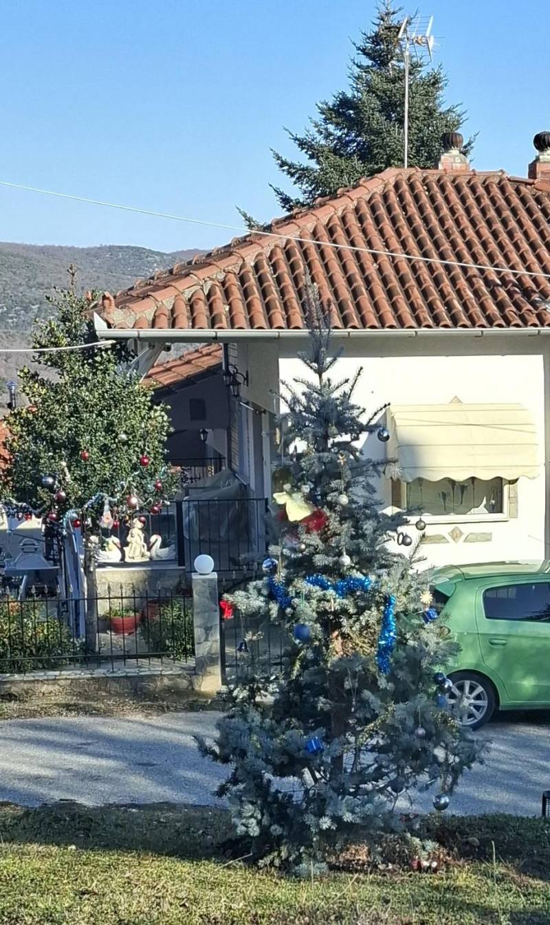 Φυτεύτηκε νέο έλατο στην Κουμαριά