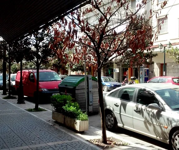 Αλεξάνδρεια: Δυσκολίες στην αποκομιδή των απορριμμάτων κατά τις ημέρες των γιορτών