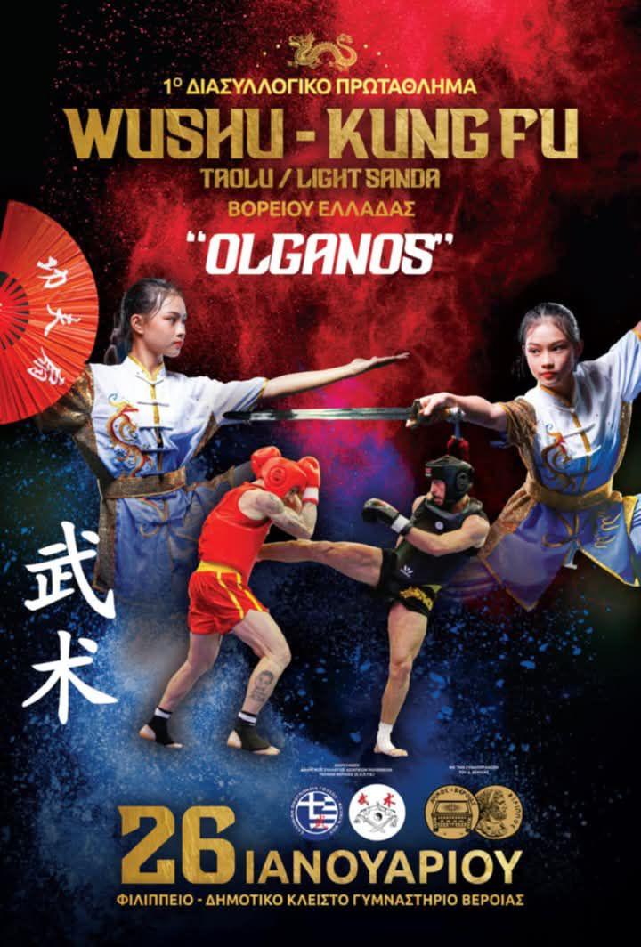 Wushu Kungfu στη Βέροια: Γιορτή Πολεμικών Τεχνών στη Βόρεια Ελλάδα