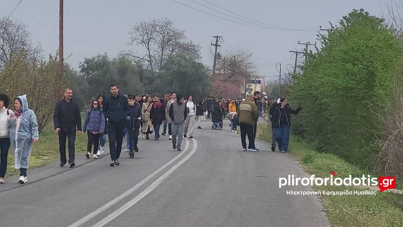 Μια Ονειρική Περιπλάνηση στις Ανθισμένες Ροδακινιές της Βέροιας