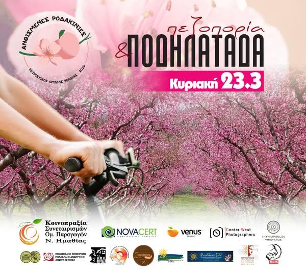 Πεζοπορία και ποδηλατάδα στις Ανθισμένες Ροδακινιές – Ένα ροζ όνειρο ζωντανεύει