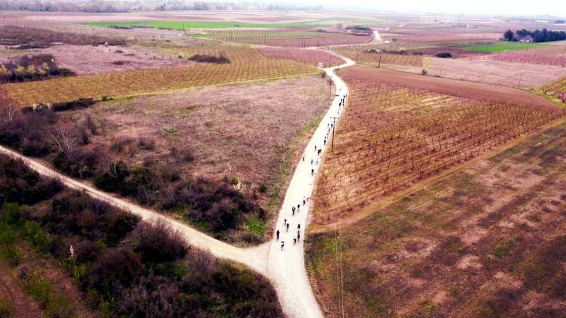 Πεταλιές στην Άνοιξη: Ανθισμένες Ροδακινιές και Μαγευτικές Στιγμές