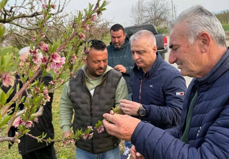 Επίσκεψη Τσαβδαρίδη στο Αγγελοχώρι: Στήριξη στους Παραγωγούς μετά τις Ζημιές από τον Παγετό
