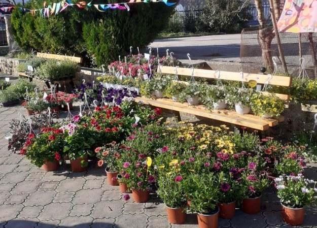 Άνθισε η δημιουργία και η προσφορά στην Αγία Βαρβάρα