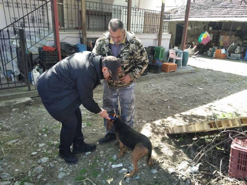 Συνεχίζονται οι Έλεγχοι για τα Δεσποζόμενα Ζώα στις Τοπικές Κοινότητες του Δήμου Νάουσας