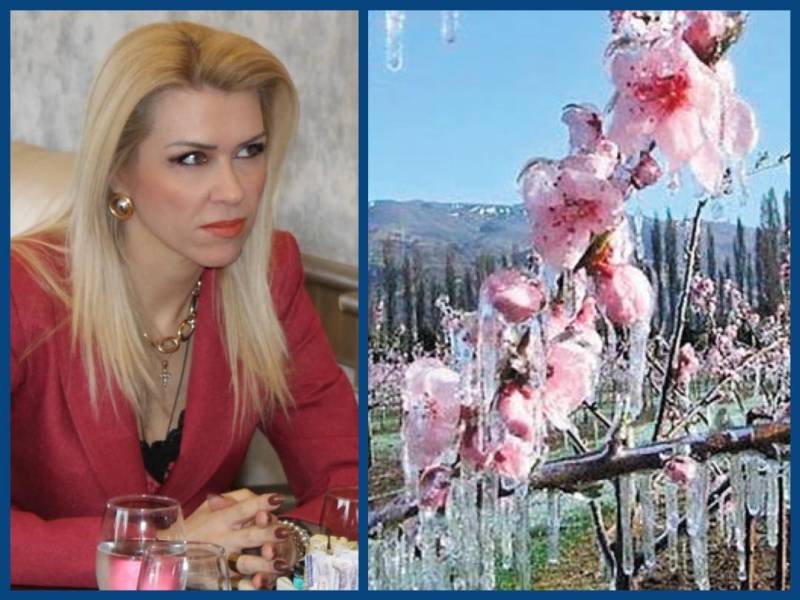 Λίνα Τουπεκτσή: Αποζημιώσεις για τον παγετό και μέτρα πρόληψης των Ελλήνων παραγωγών για το μέλλον