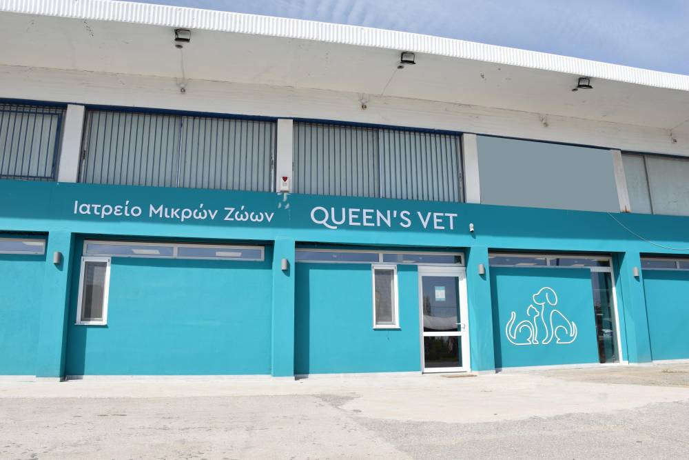 Εξυπηρέτηση και το Σάββατο στο Queen’s Vet – Μόνο με ραντεβού οι κτηνιατρικές υπηρεσίες