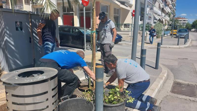 Βέροια: Νέες φυτεύσεις δέντρων στην οδό Ανοίξεως