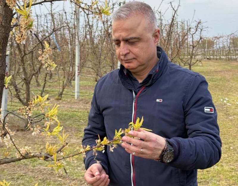Άμεση καταβολή αποζημιώσεων στους μηλοπαραγωγούς για ζημιές 2022-2023