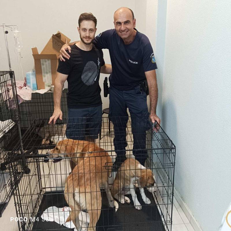 Άμεση κινητοποίηση για τη σωτηρία δύο δηλητηριασμένων σκύλων στη Βέροια