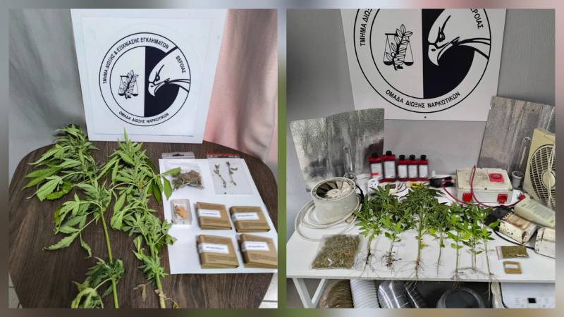 Συλλήψεις δύο ανδρών στη Ημαθία για καλλιέργεια και κατοχή κάνναβης