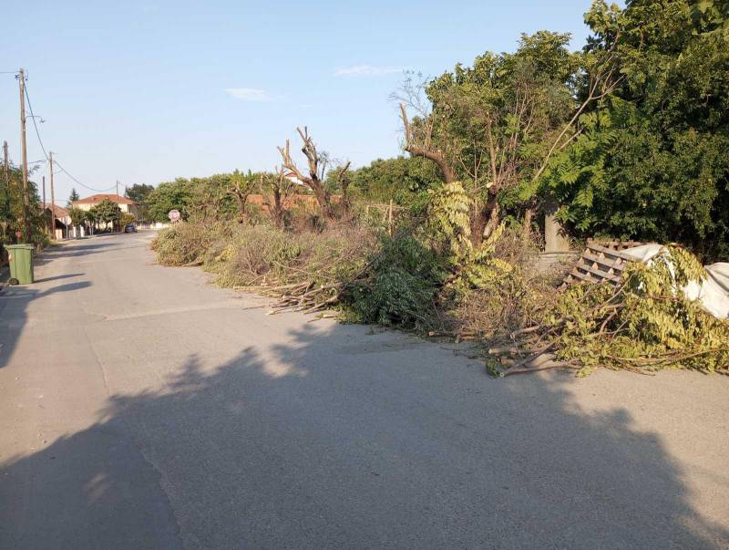 Βεργίνα: Κομμένα και παρατημένα κλαδιά στο κέντρο του χωριού