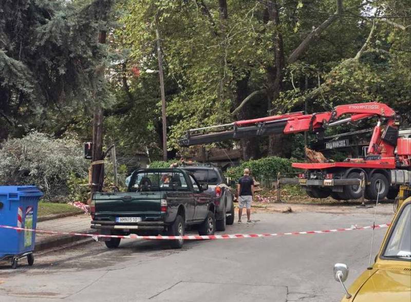 Βέροια: Όταν ο γίγαντας λύγισε – Σοκαριστικό το περιστατικό στα «Παπάκια»