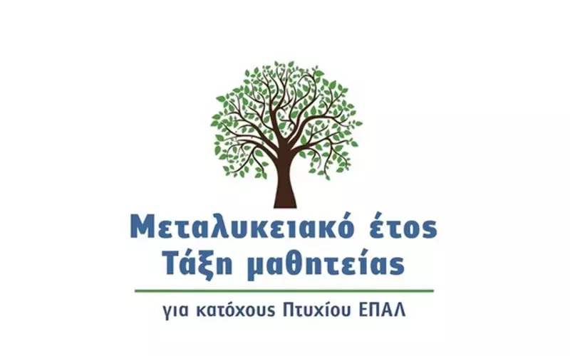 Παράταση προσφοράς θέσεων μαθητείας από τον ιδιωτικό τομέα για το «Μεταλυκειακό Έτος-Τάξη Μαθητείας»