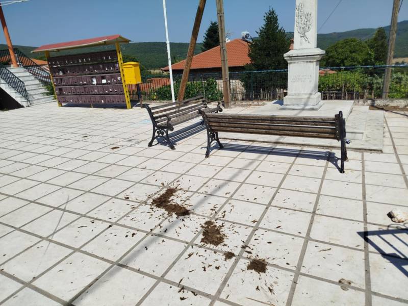 Κουμαριά: Διαμαρτυρία κατοίκων για τις αγελάδες που κυκλοφορούν στον οικισμό