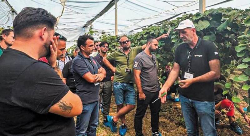 Για πρώτη φορά συγκομιδή κόκκινου ακτινιδίου στη Νάουσα