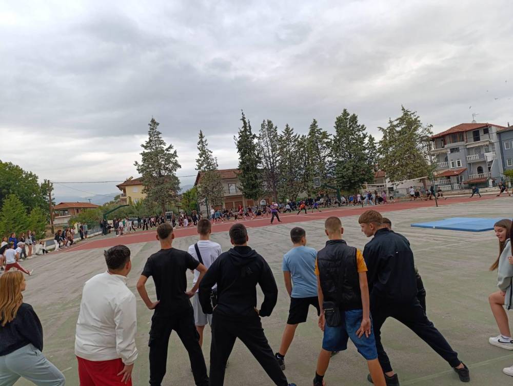 «Κινούμαι, Ενεργώ, Δημιουργώ» από το Γυμνάσιο Μακροχωρίου