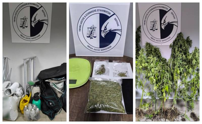 Σύλληψη στη Βέροια για καλλιέργεια και κατοχή κάνναβης μετά από αστυνομική επιχείρηση