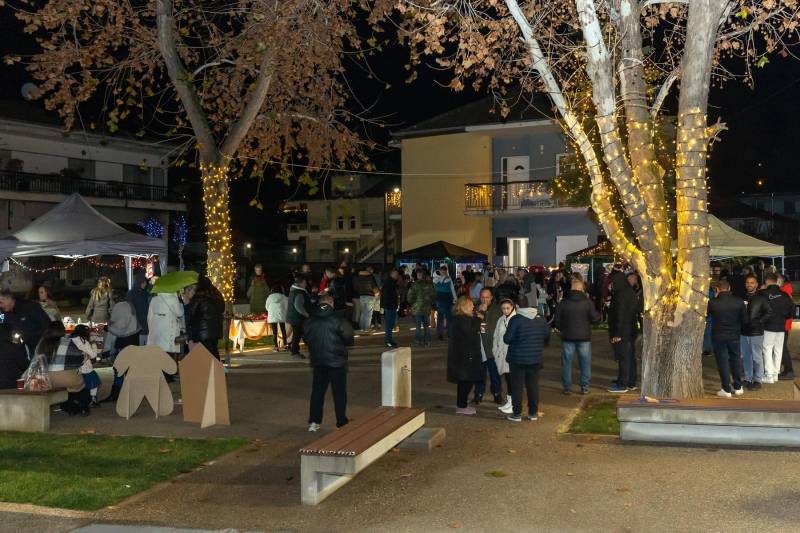 Χριστουγεννιάτικη Γιορτή στην Πατρίδα