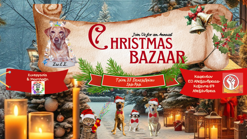 Χριστουγεννιάτικο Φιλοζωικό Bazaar στην Αλεξάνδρεια