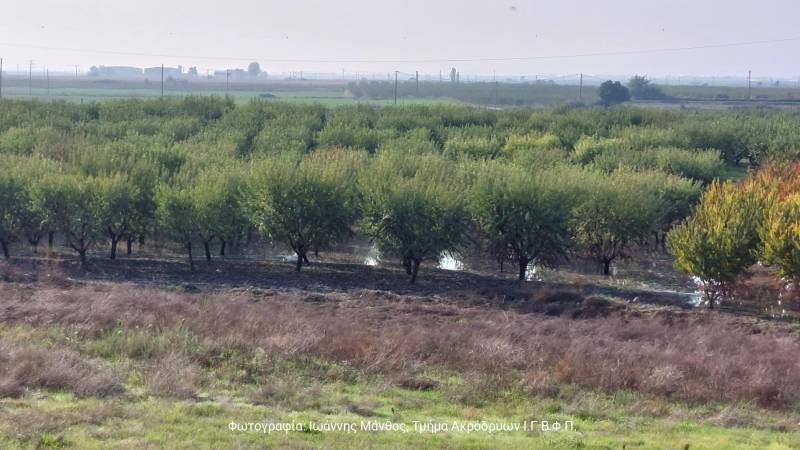 Κορεσμένα εδάφη από τις συνεχείς βροχοπτώσεις – Οδηγίες προστασίας των αγρών από το Τμήμα Φυλλοβόλων Νάουσας