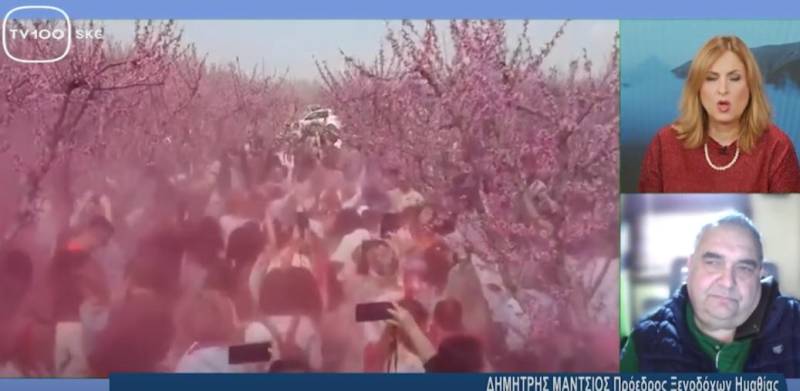 Ημαθία: Οι Ανθισμένες Ροδακινιές χτίζουν το νέο τουριστικό brand