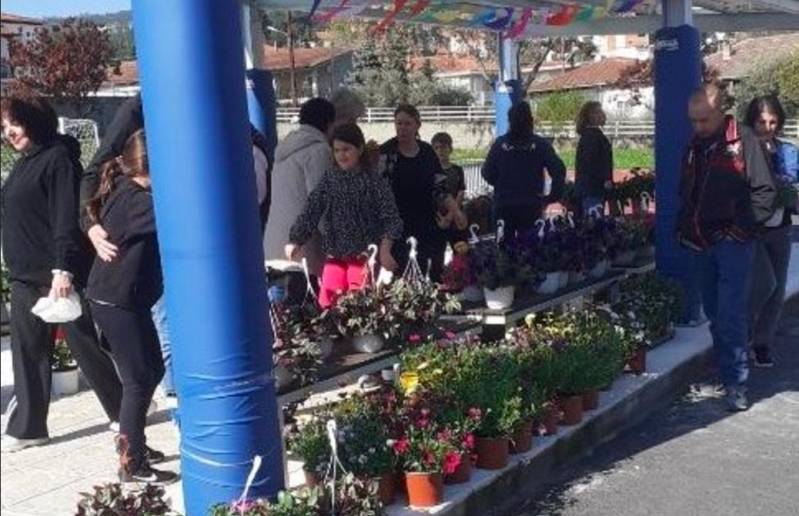 Άρωμα Άνοιξης στην Αγία Βαρβάρα: Διπλή ανθοέκθεση στα σχολεία την Κυριακή 26 Απριλίου
