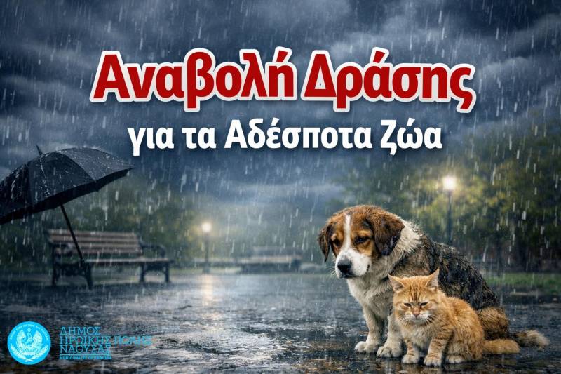 Αναβάλλεται λόγω κακοκαιρίας η δράση υιοθεσίας αδέσποτων στη Νάουσα