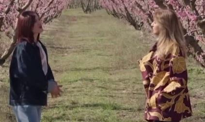 Άφησε την εκπαίδευση για τη γη: Μια ζωή ανάμεσα στις ροδακινιές της Βέροιας