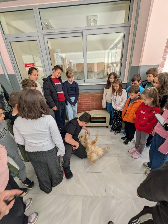 Δράση φιλοζωίας στο Δημοτικό Σχολείο Ριζωμάτων
