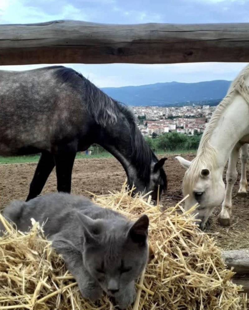 Η Ρένια Ζούρου του 5ου ΓΕΛ Βέροιας διακρίθηκε σε έκθεση περιβαλλοντικής φωτογραφίας με μήνυμα «Σεβασμός στη ζωή»