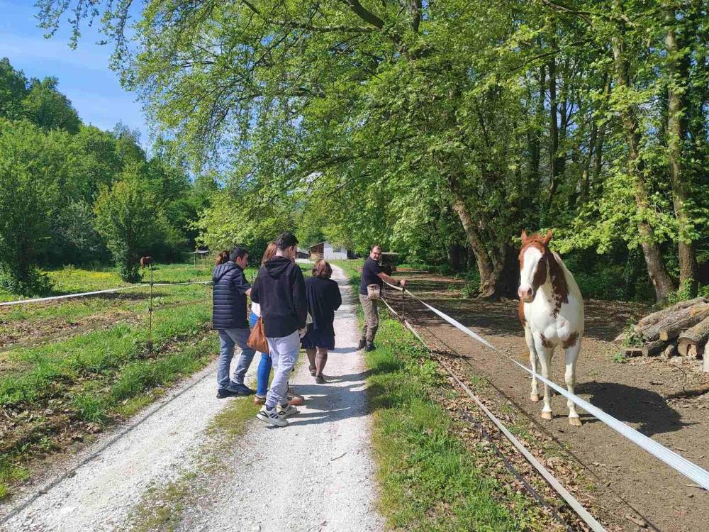 Επαφή με τη φύση και τα άλογα είχαν τα παιδιά του ΚΔΑΠ ΜΕΑ «Αγκαλιάζουμε»