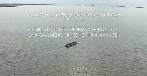 Ντοκιμαντέρ για τα προβλήματα της μυδοκαλλιέργειας από τους μαθητές του Δημοτικού Κλειδίου
