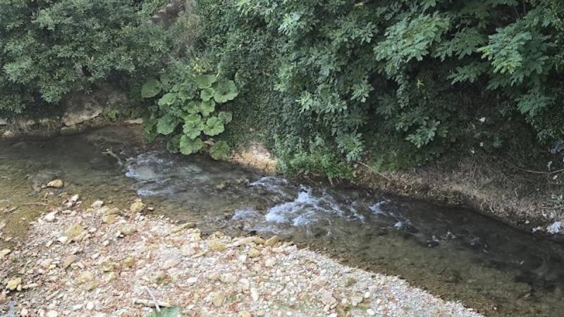Σε οριακό σημείο η άρδευση στη Νάουσα – Μέτρα εξοικονόμησης νερού από τον ΤΟΕΒ για να προστατευθεί η παραγωγή