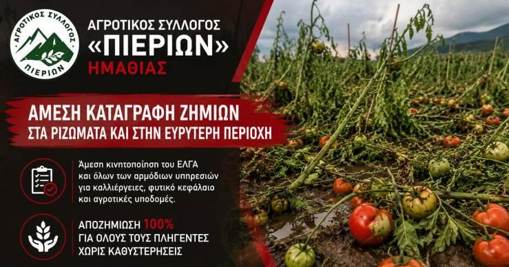 Ο Αγροτικός Σύλλογος «Πιερίων» ζητά άμεσες καταγραφές ζημιών και πλήρεις αποζημιώσεις για τους πληγέντες παραγωγούς