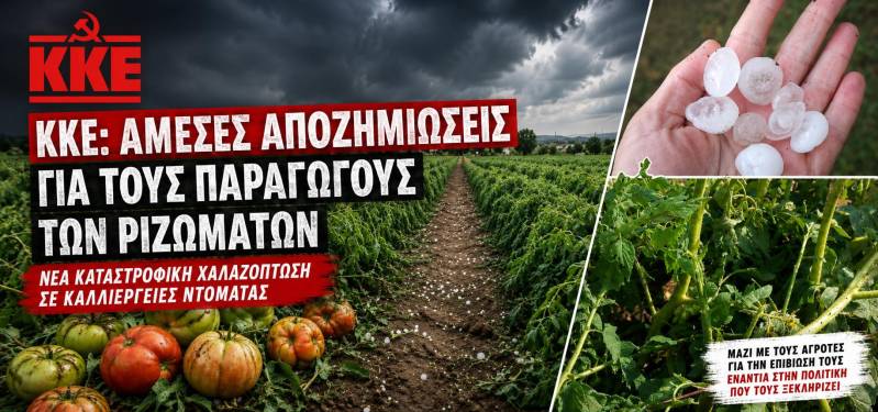 Τομεακή Επιτροπή Ημαθίας του ΚΚΕ: Ζητά άμεσες αποζημιώσεις για τους παραγωγούς ντομάτας στα Ριζώματα