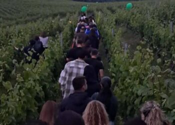 Μια βραδιά φύσης και κρασιού στο Κτήμα Κυρ-Γιάννη