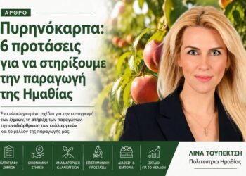 Πυρηνόκαρπα: 6 προτάσεις για να στηρίξουμε την παραγωγή της Ημαθίας