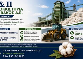 Εκκοκκιστήρια Βάμβακος: Ζητούνται ανειδίκευτοι εργάτες και χειριστές φορτωτή και κλαρκ